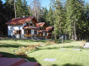 Гостиница Saint George Holiday Village  Бороветц